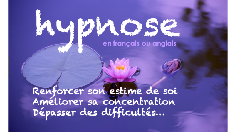 Solutions d&rsquo;apprentissage des langues    (QIND10)